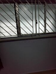 Blk 284 Ficus Vale (Yishun), HDB 3 Rooms #546462791